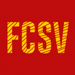 Marquage lifestyle FCSV