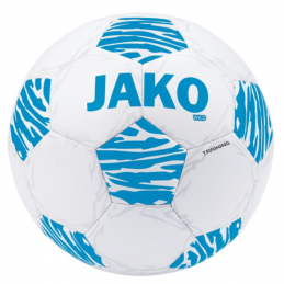 BALLON ENTRAINEMENT JAKO...