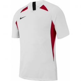 MAILLOT DRI-FIT STRIKER HOMME